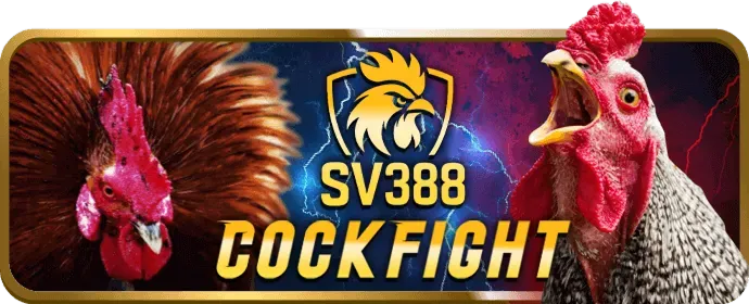 Phân tích tỷ lệ cược cá cược thể thao 39win